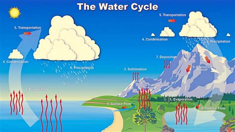water cycle animation video